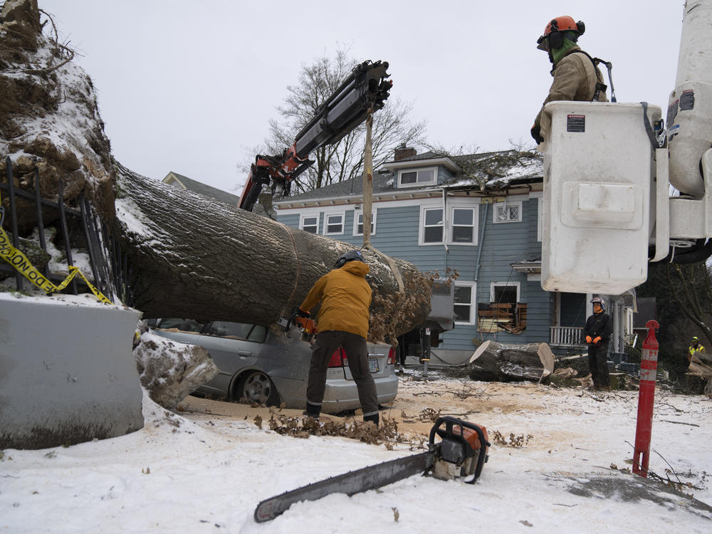 Jose Peralta, with the Oregon Department of Forestry, uses a chainsaw to cut a downed tree into smaller pieces after it fell on a car and a home on Saturday, in Portland, Ore.