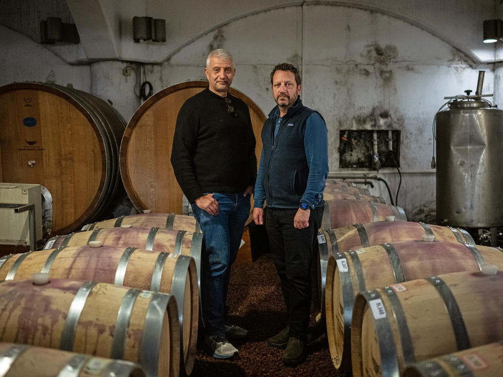 Golan Heights Winery CEO Assaf Ben Dov (left) and head winemaker Victor Schoenfeld are photographed in one of the winery's cellars in Katzrin, the Golan Heights, on Jan. 8, 2024.
