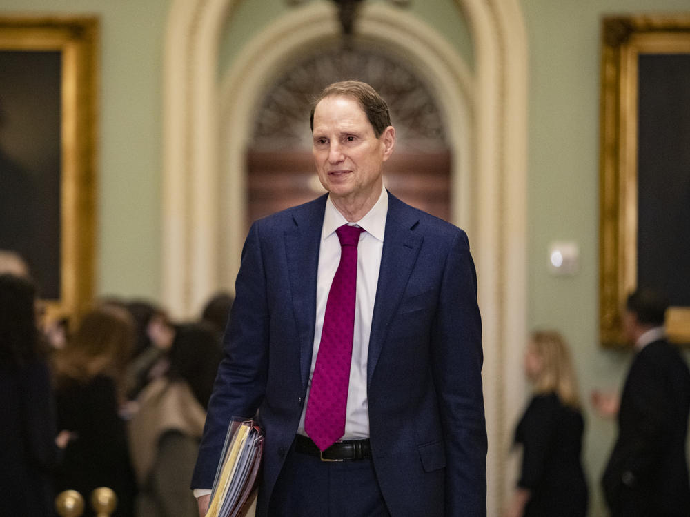 Senator Ron Wyden, D-Ore., chairs the Senate Finance panel and negotiated the bipartisan tax framework with his House counterpart - Rep. Jason Smith, R-Missouri,