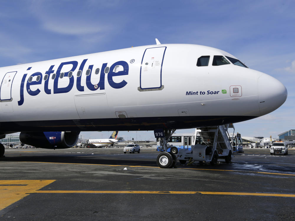 A JetBlue plane is shown at John F. Kennedy International Airport in New York on March 16, 2017. A federal judge has blocked JetBlue Airways from buying Spirit Airlines, saying the $3.8 billion deal would reduce competition.