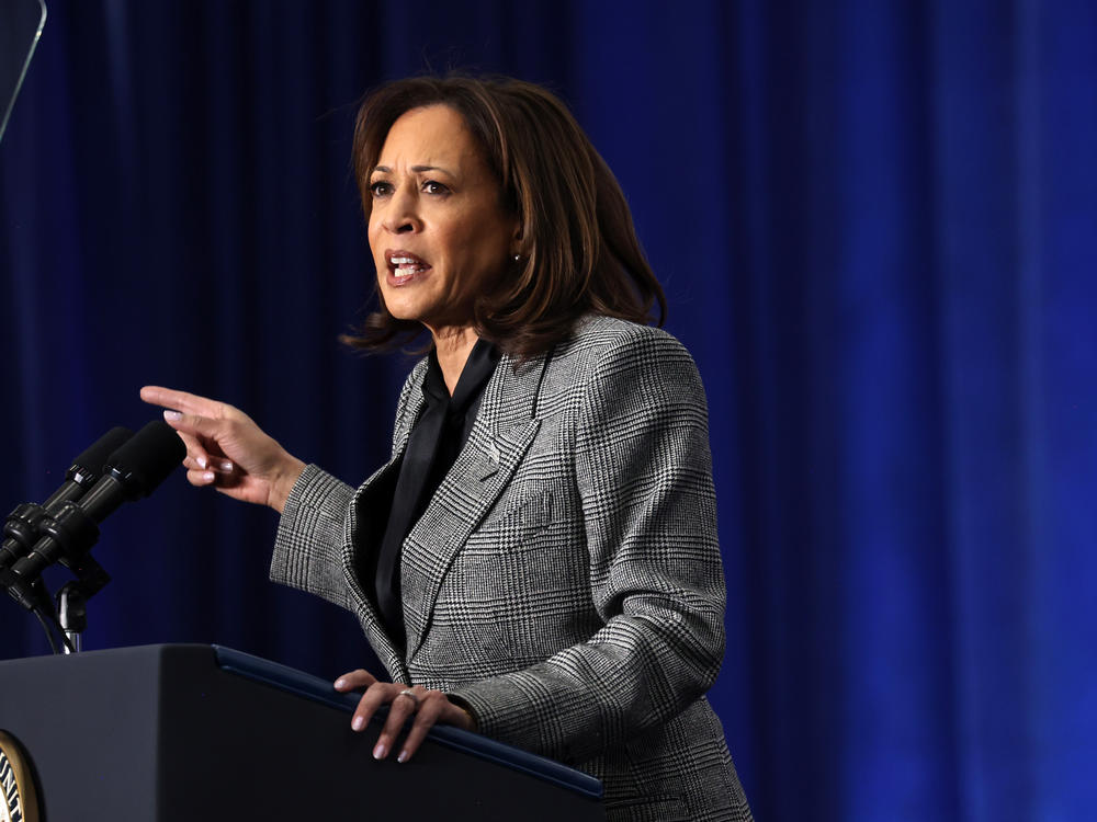Vice President Harris in Big Bend, Wis., the first stop in a series of events aimed at highlighting restrictions on abortion since the Supreme Court overturned <em>Roe</em>.