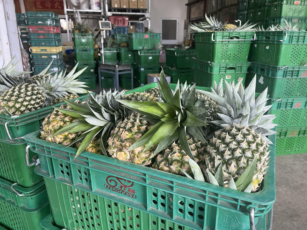 Pineapples sit in containers after being picked in Taiwan. China's alleged theft of a cultivar of the fruit has caused tensions.
