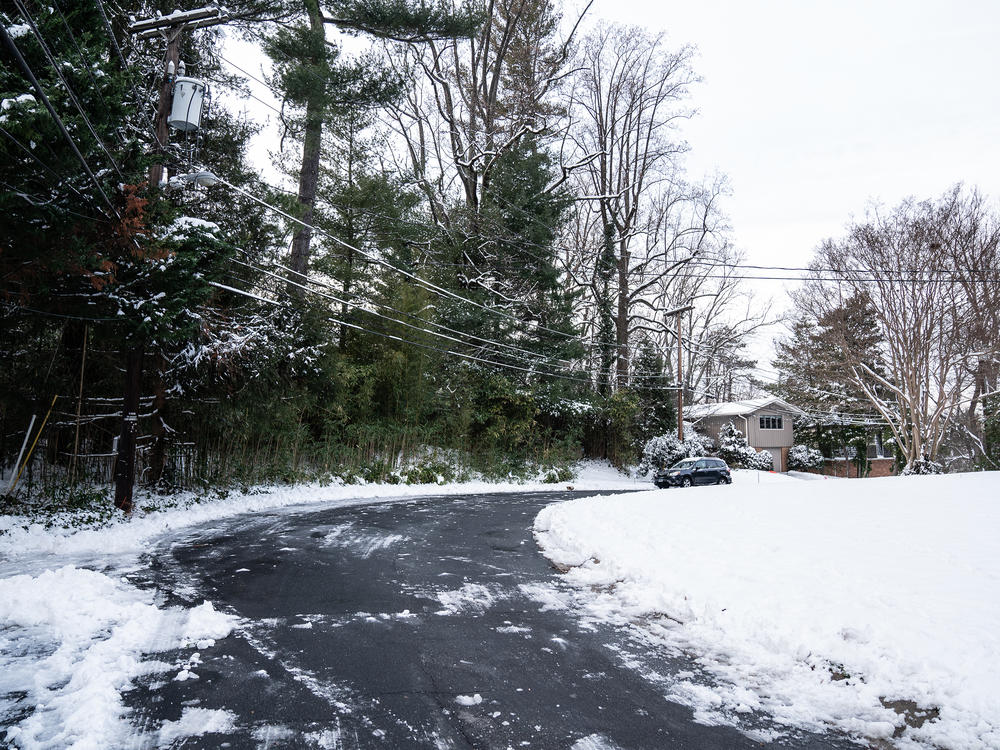The neighborhood where the Rollingwood Burial Ground is located in Chevy Chase, an affluent suburb outside Washington, D.C.