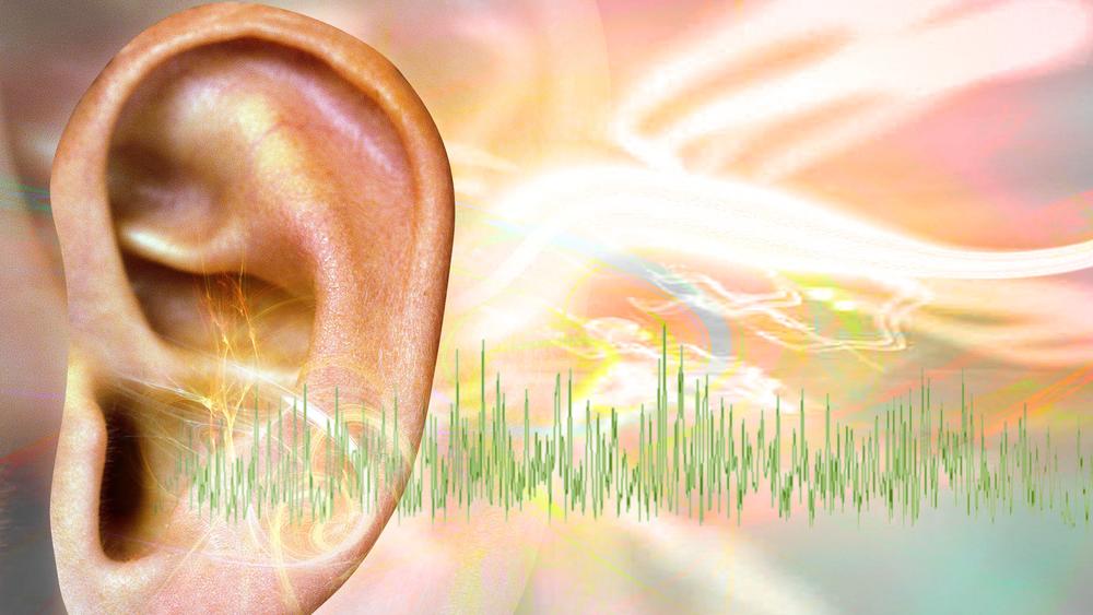 An experimental gene therapy tested in young children with an inherited form of deafness restored some hearing for most of them.