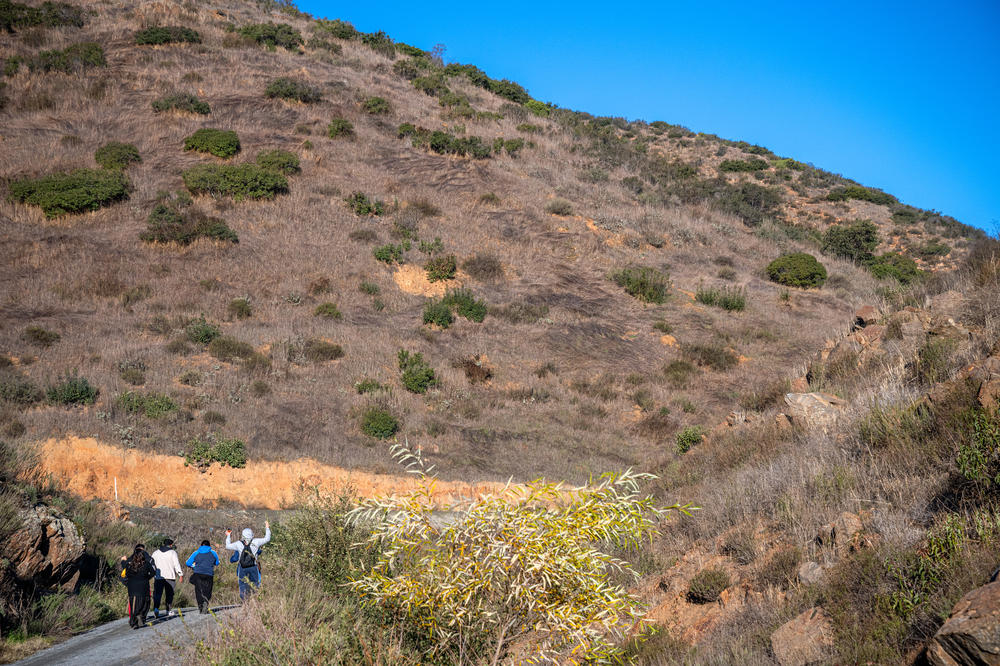 Migrants, having walked for roughly seven hours through rugged terrain in the Otay Mountain wilderness, celebrate their first taste of the U.S. south of Dulzura, Calif. on Jan. 13, 2024.