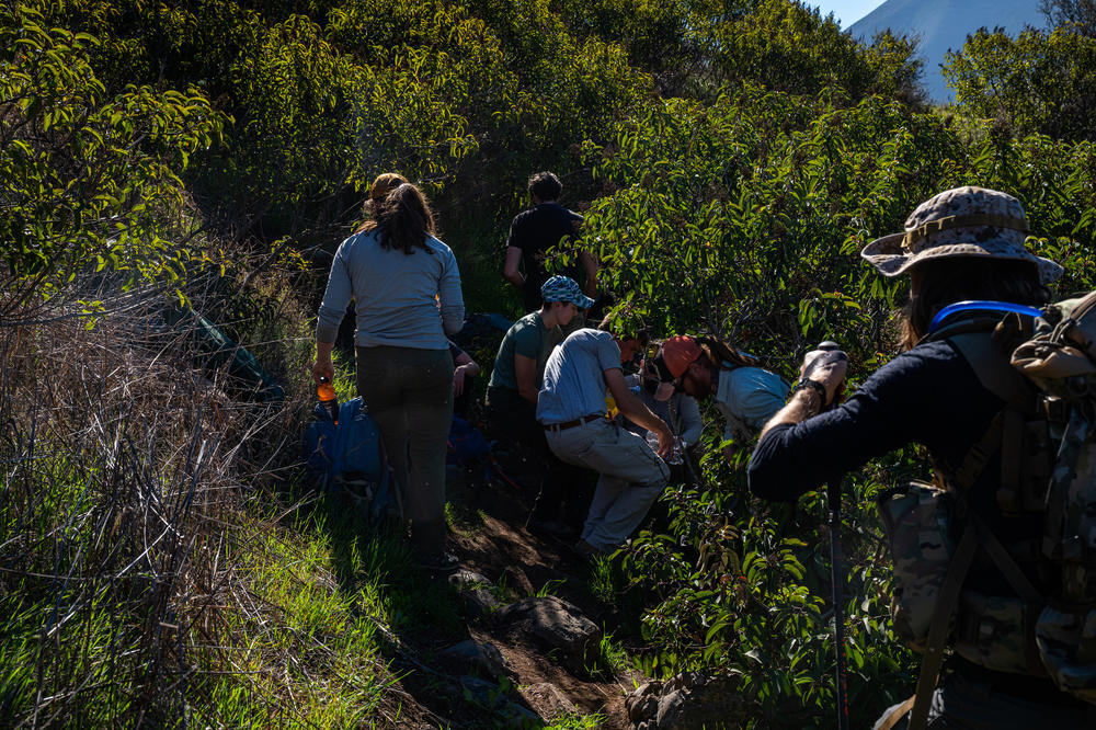 Members of the humanitarian group Borderlands Relief Collective leave non-perishable food and hydration in areas commonly used by migrants walking through rugged terrain on Otay Mountain south of Dulzura, Calif.