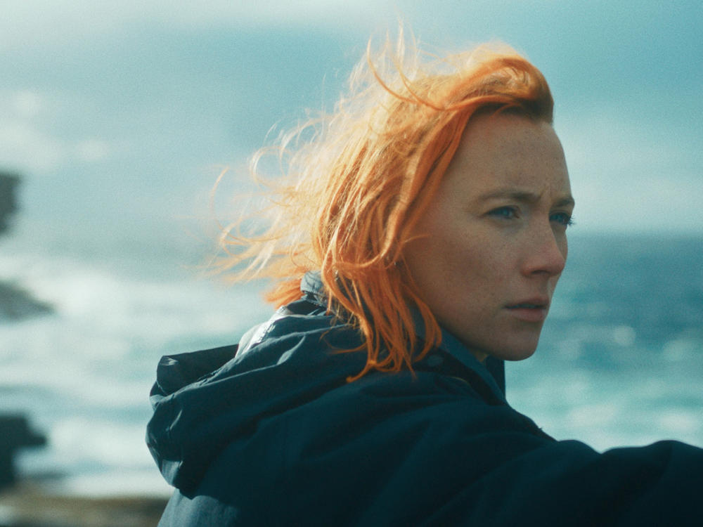 Saoirse Ronan in <em>The Outrun</em>.