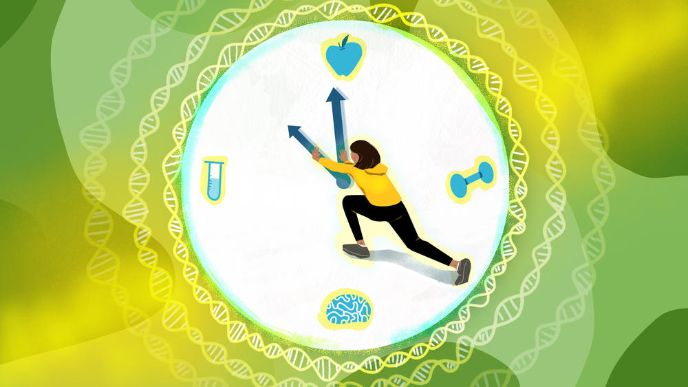 Scientists are exploring interventions that might help slow the rate of aging.