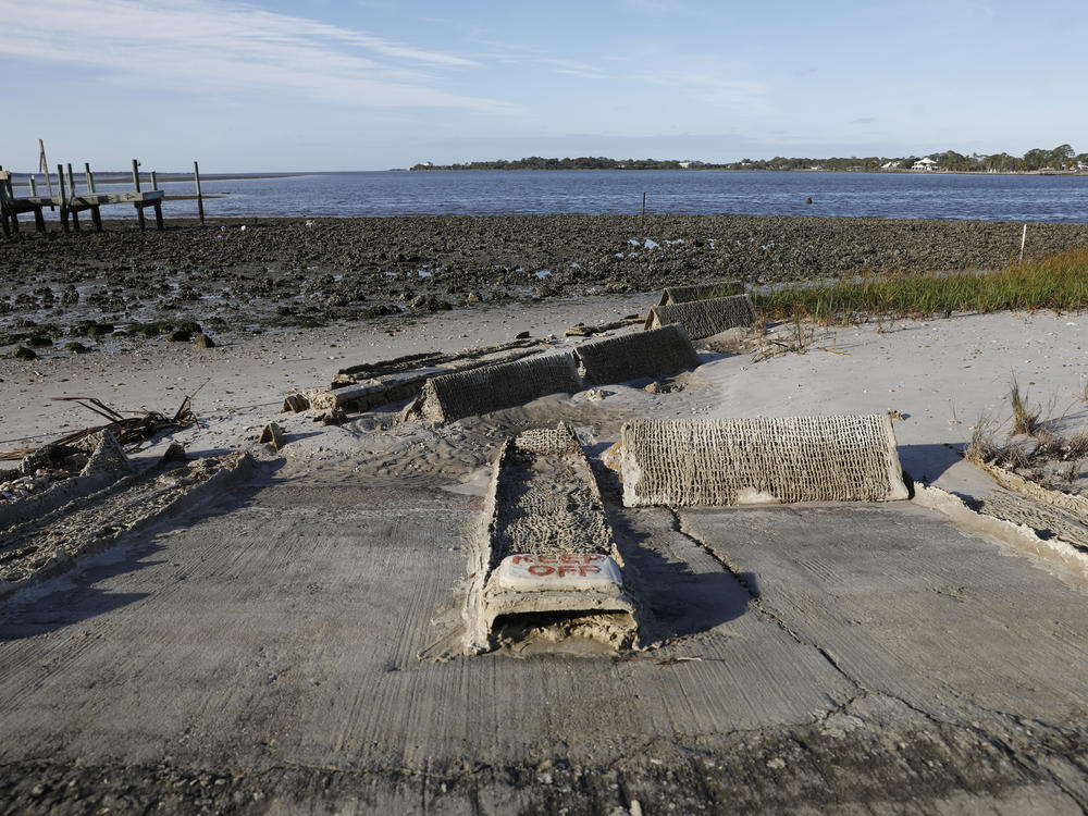 On Cedar Key, researchers from the University of Florida have brought in sand, put in marsh plants and used artificial reefs to encourage the growth of oyster beds offshore.