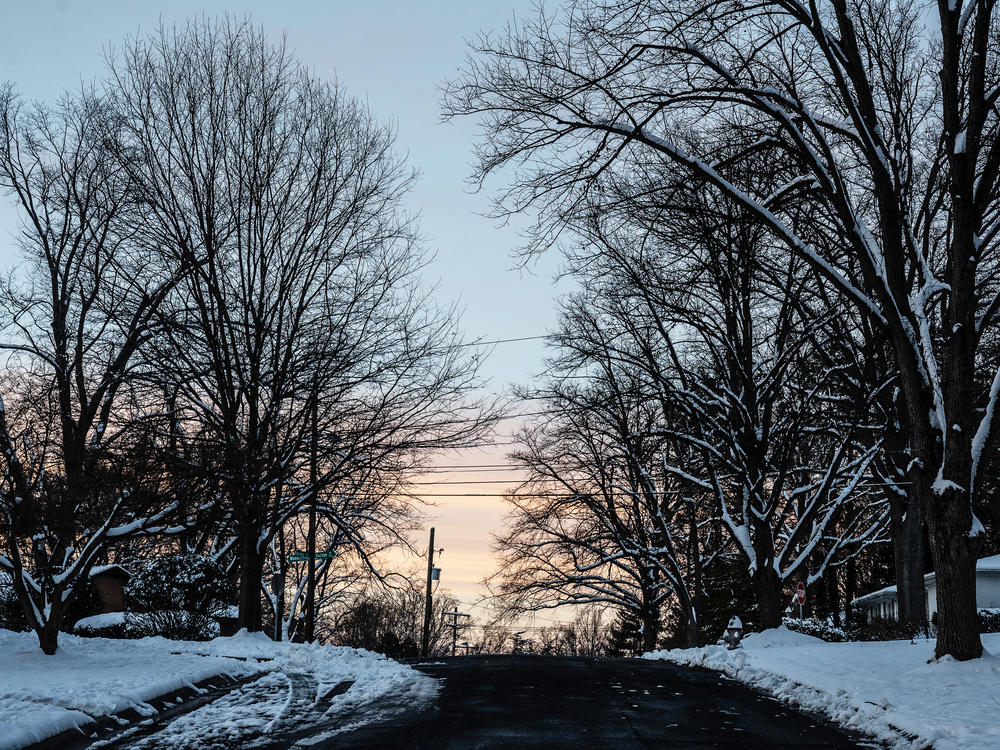 The neighborhood where the Rollingwood Burial Ground is in Chevy Chase, Maryland.