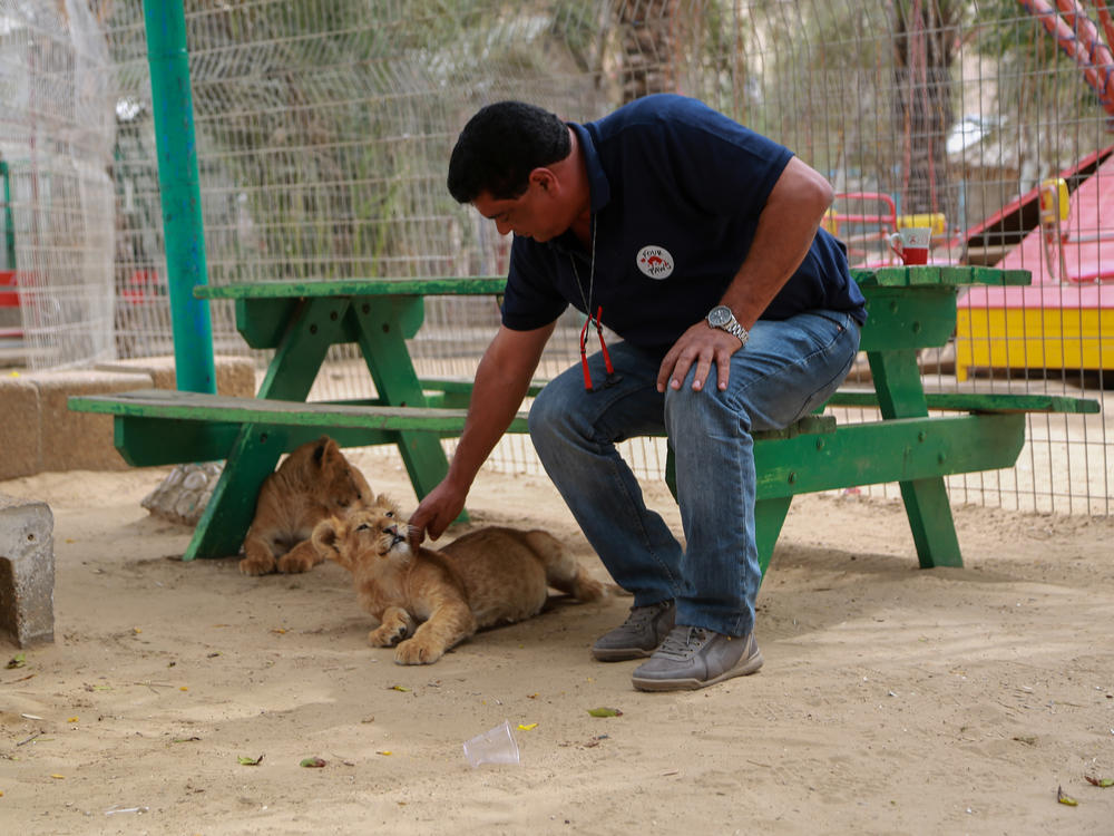 Gaza Strip | 2018 03 | medical check and assessment at Rafah Zoo