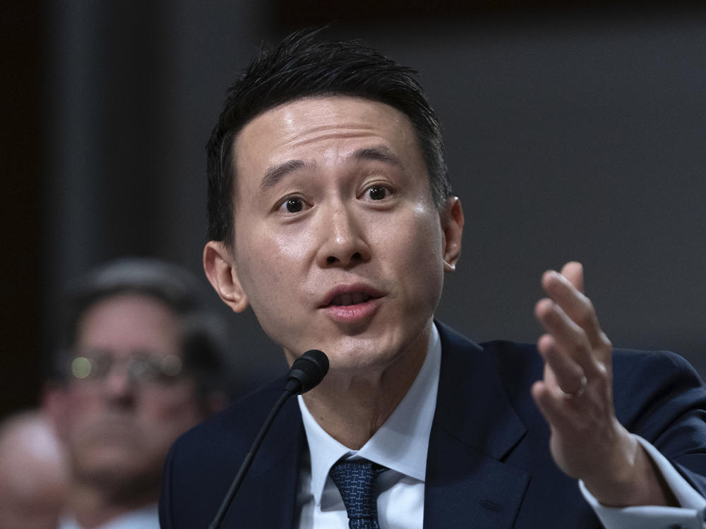 TikTok CEO Shou Zi Chew testifies before a Senate committee in Washington on Wednesday.