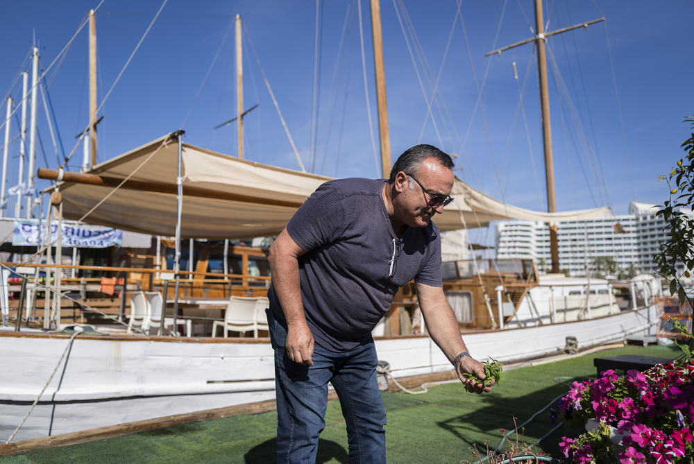 Shmulik Zino on his 30-foot wood-trimmed tour boat. Normally Zino would be taking tourists for boat cruises on the Gulf of Aqaba. These days he tends to his herb and flower garden.
