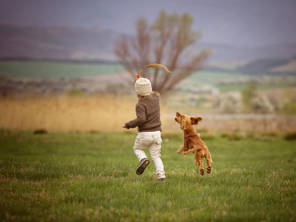 Kids who have dogs get a boost in physical activity - especially young girls.