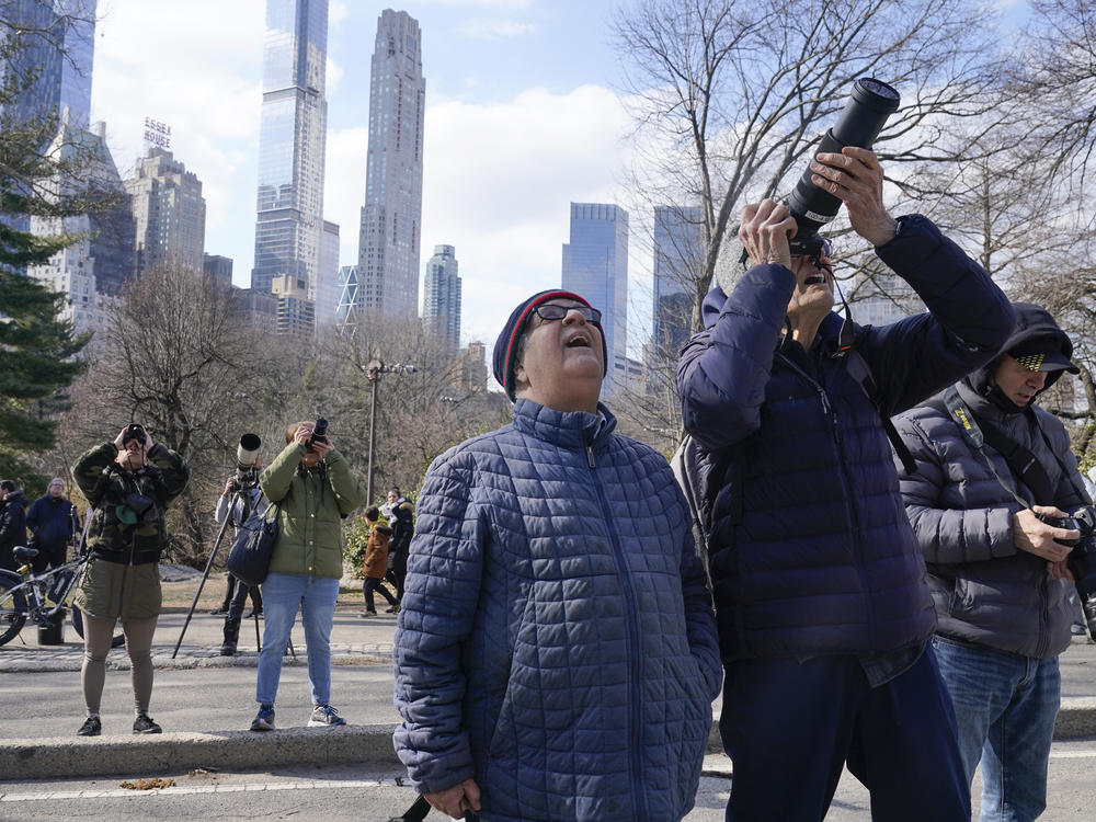 A crowd of people gather in Central Park to look at Flaco on Feb. 6, 2023, in New York.