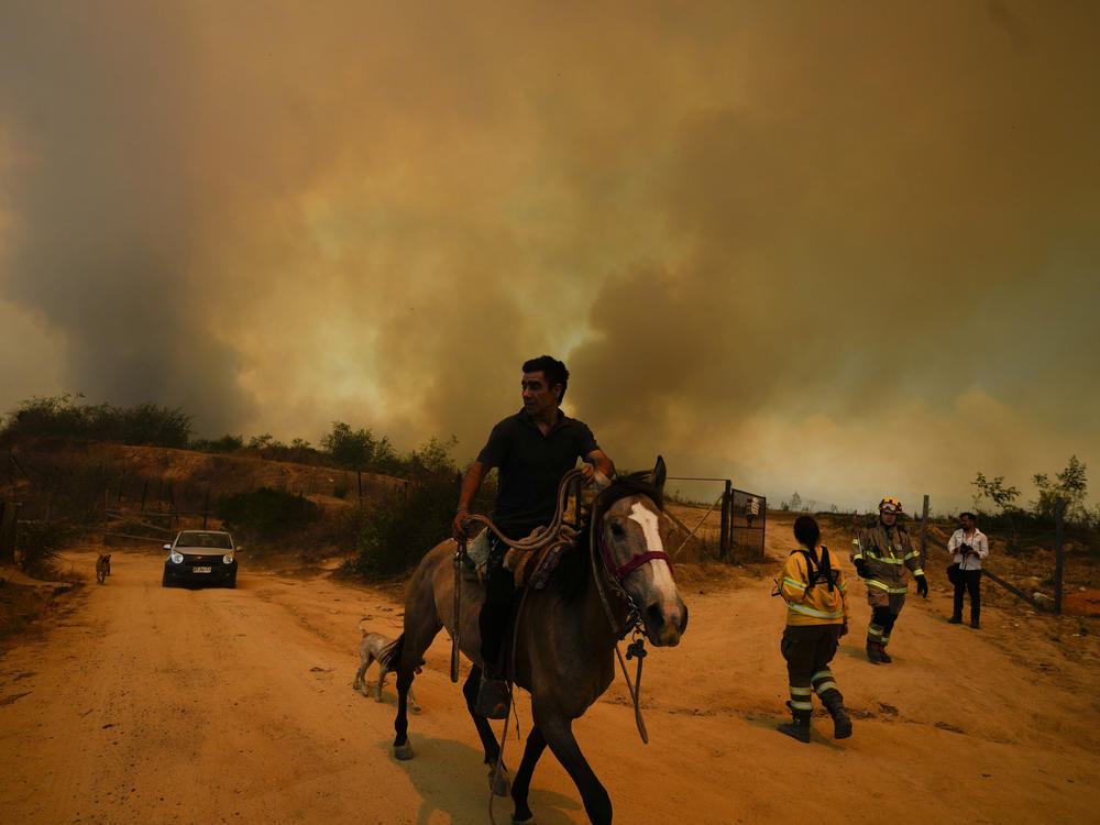 A resident flees an encroaching forest fire in Vina del Mar, Chile, on Saturday. Officials say intense forest fires burning around a densely populated area of central Chile have left several people dead and destroyed hundreds of homes.