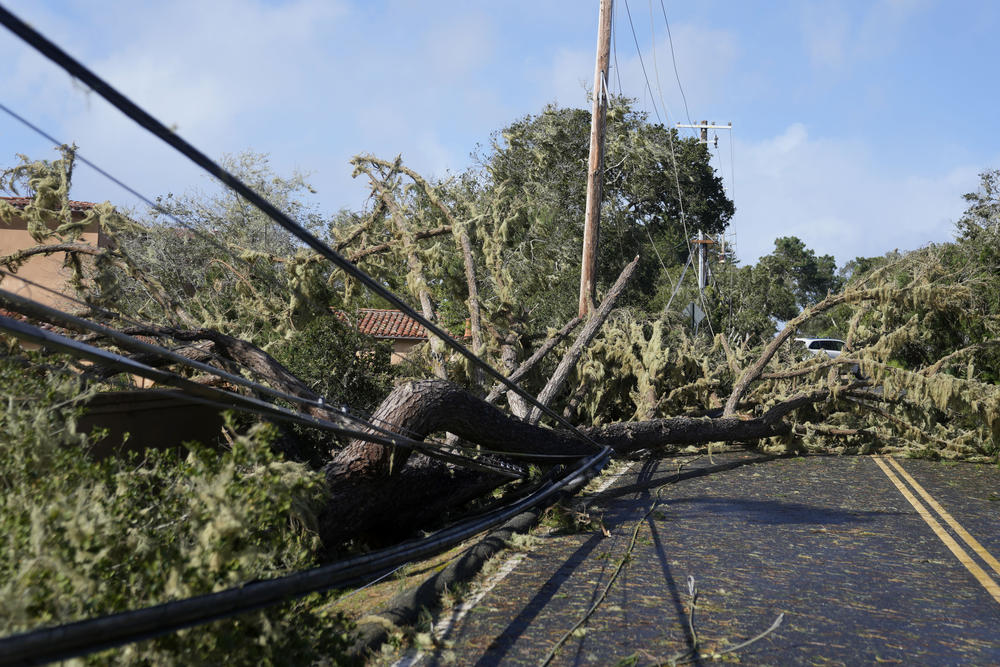 Pebble Beach: Fallen trees and power lines block a road Sunday.
