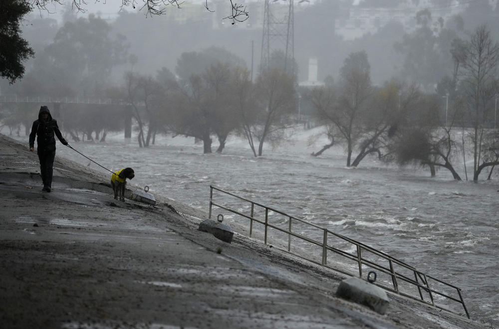 Los Angeles: A man walks his dog on the edge of the Los Angeles River, carrying stormwater downstream Sunday.