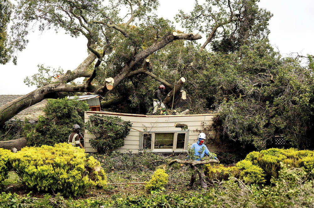 San Jose: Workers clear a tree that fell onto a home during heavy wind and rain on Sunday.