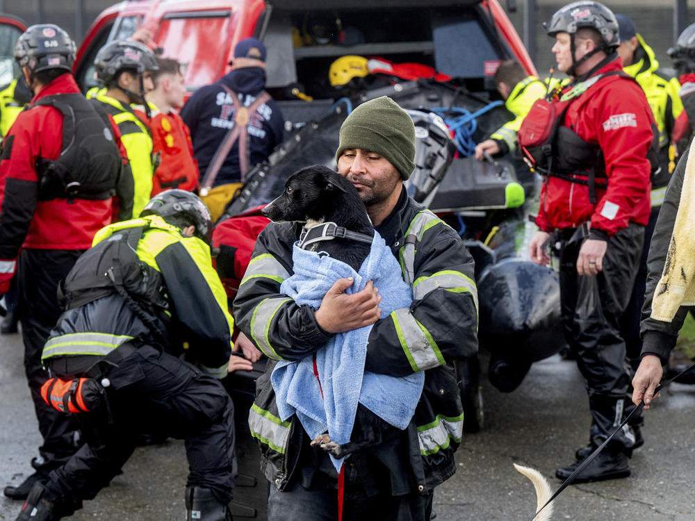 A man, who declined to give his name, carries a dog after being rescued from a homeless encampment surrounded by Guadalupe River floodwater on Sunday, Feb. 4, 2024, in San Jose, Calif.