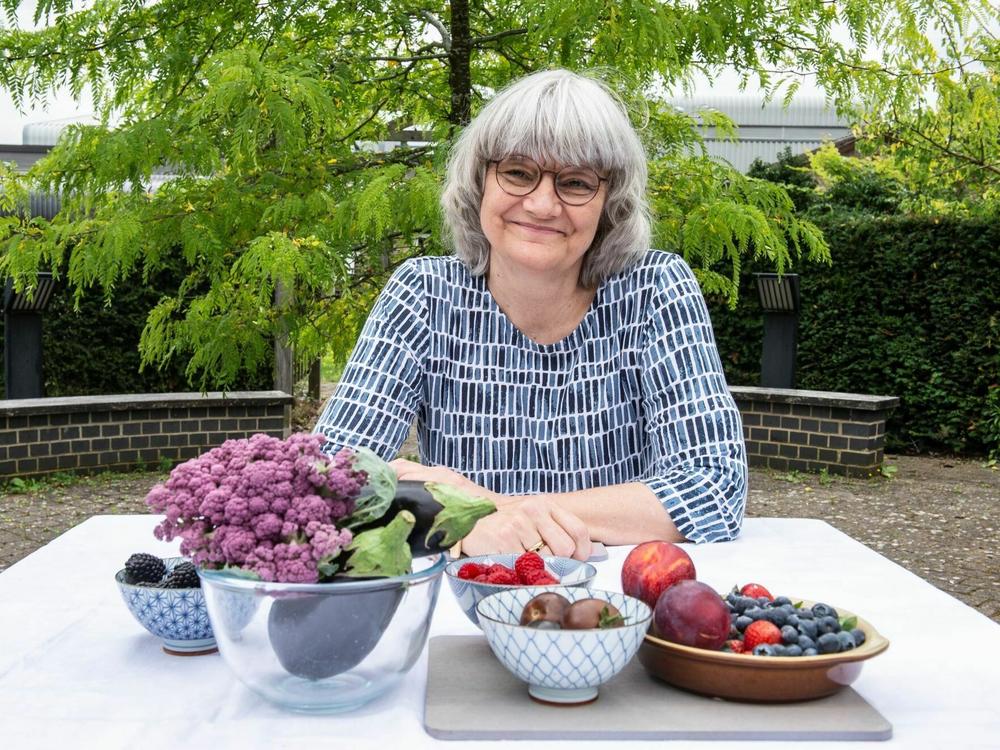Cathie Martin worked for years to develop the Purple Tomato using genes from the edible snapdragon plant to increase anthocyanin, a compound that gives a purplish hue to plants.