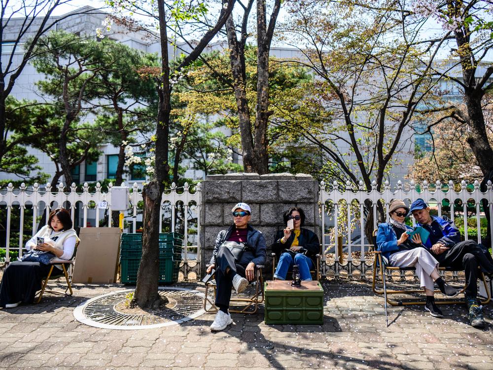 People sit near the cherry blossoms in full bloom along a street in Seoul on April 3, 2023.
