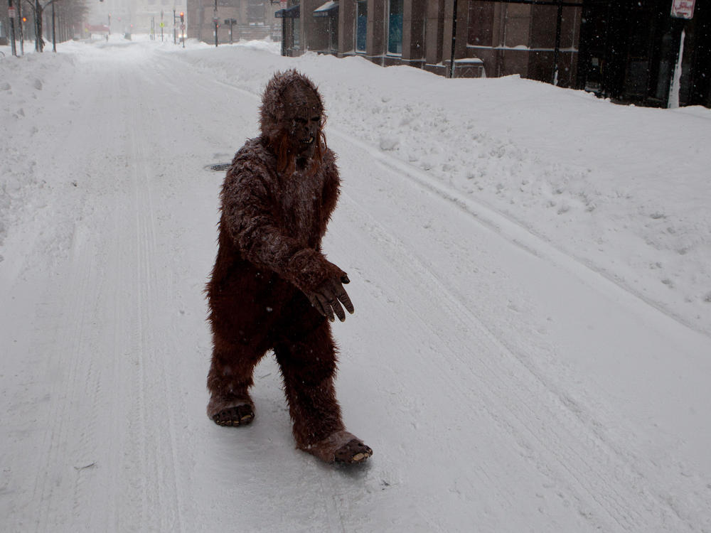 A person dressed as Bigfoot makes their way through the snow during a blizzard in Boston in January 2015. John O'Connor's <em>The Secret History of Bigfoot</em> explores the myth and its lingering appeal.