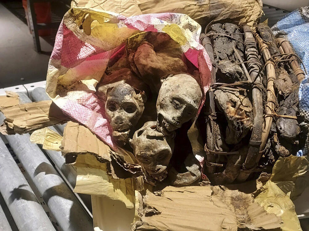 The traveler caught with the mummified monkey remains initially said the items were dried fish.