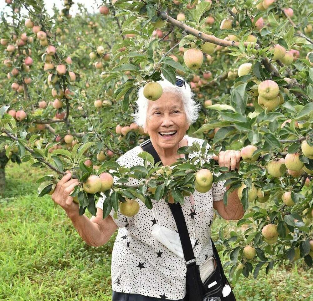 Yu goes apple picking on a visit to Tokat, Turkey, in 2021.