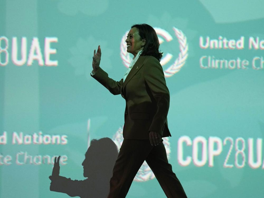 Vice President Harris, seen here in December 2023, will be making a major address on Friday at the Munich Security Conference.