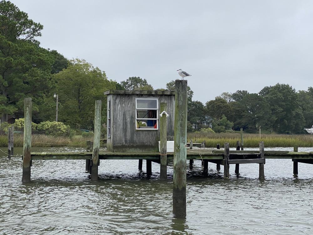 Seagulls perch along a residential dock on the Ware River, a tributary of the Chesapeake Bay in Gloucester, Virginia.