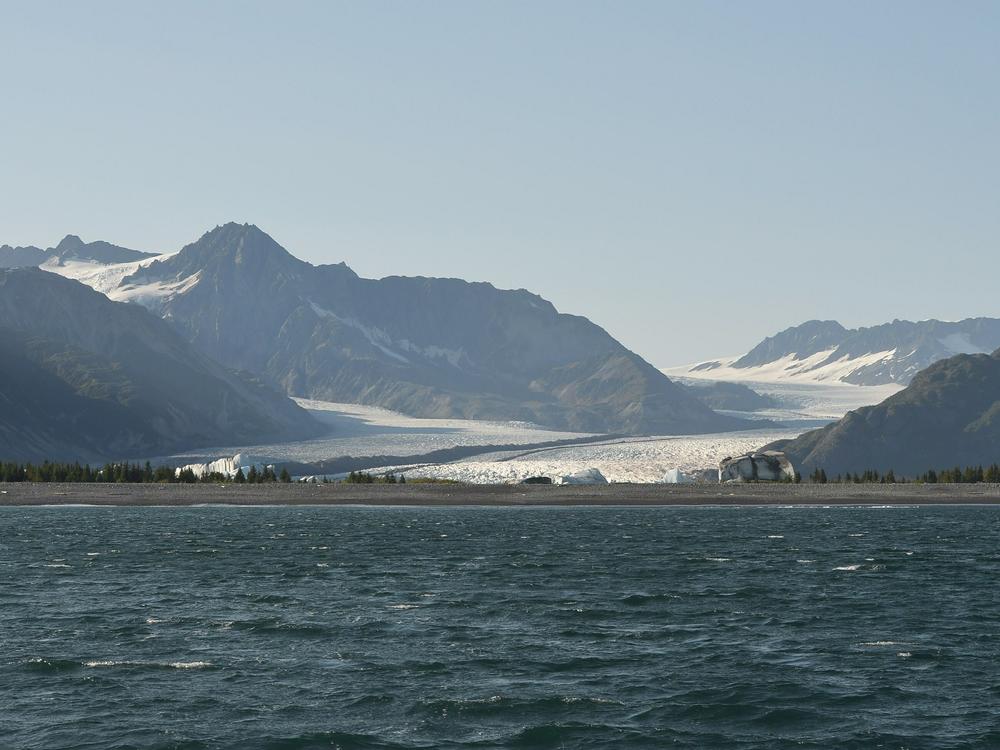 In January, a man living on Alaska's Kenai Peninsula died of Alaskapox. Pictured is Bear Glacier in the Kenai Fjords National Park on Sept. 1, 2015, in Seward, Alaska.
