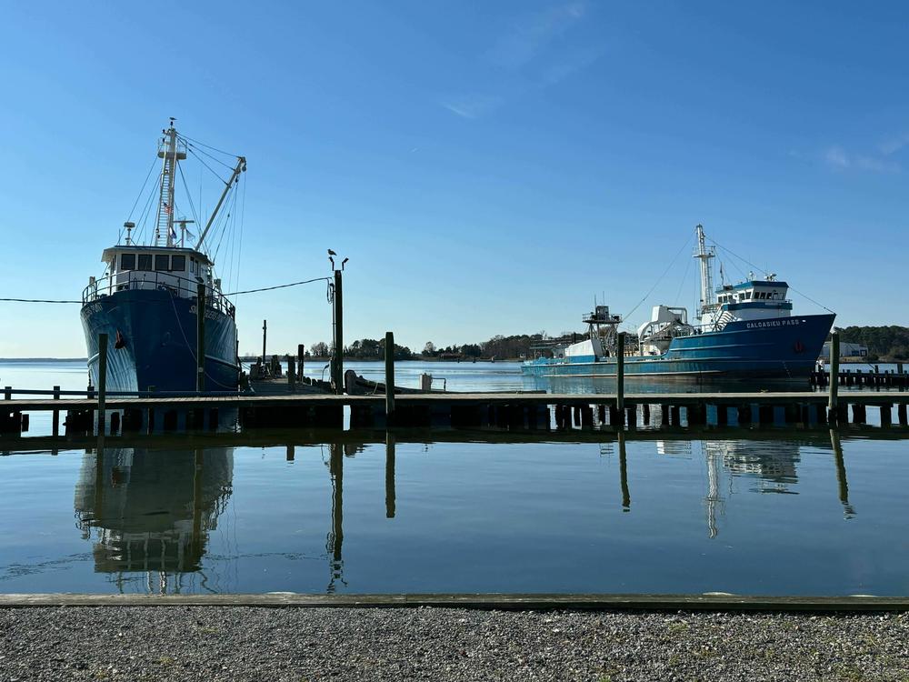 Omega Protein's boats docked along Cockrell's Creek at the company's menhaden plant in Reedville, Virginia.