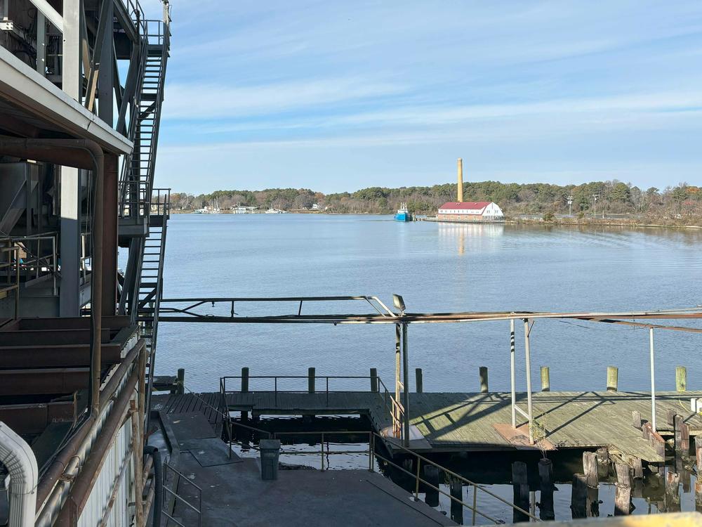 The commercial menhaden fishery on the East Coast dates back to the Civil War era, once stretching from Maine to Florida. Now, Omega Protein's plant in Reedville, Virginia is the last one left.