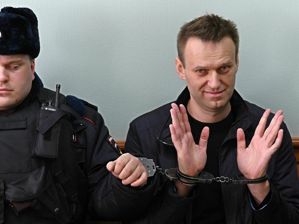 Alexei Navalny rose to fame in Russia with headline-grabbing investigations into corruption in the highest levels of President Vladimir Putin's regime. Navalny (right) is seen here at a court hearing in Moscow in March 2017.