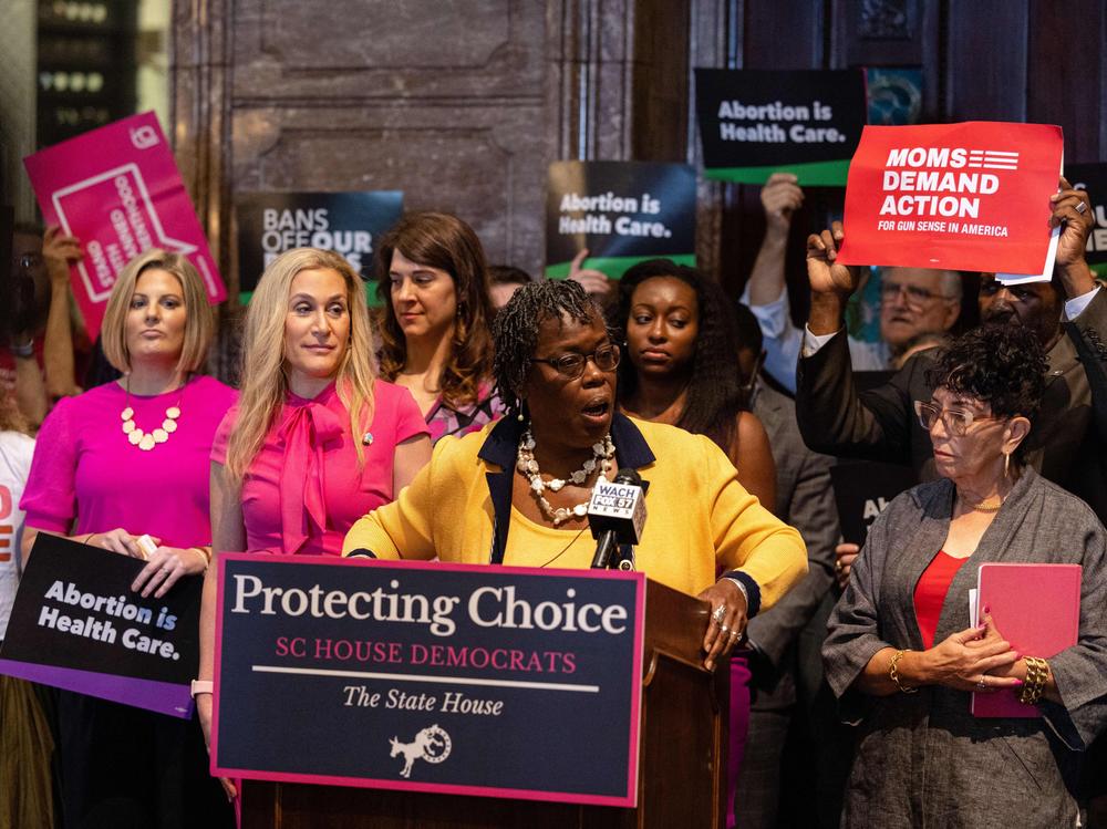 Abortion-rights advocates held a news conference last May before debate of a bill that would restrict abortions after six weeks.