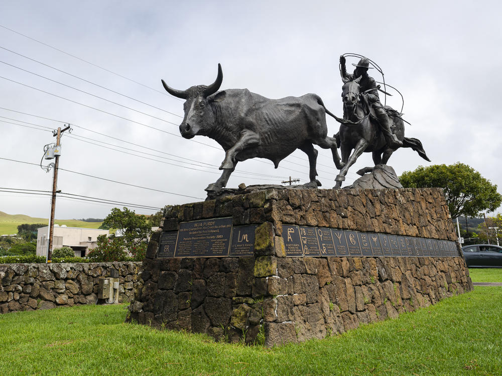 A bronze statue honoring hometown hero and hall-of-fame rodeo roper Ikua Purdy in Waimea, Hawaii. Someone has been quietly buying hundreds of acres of land — stirring worries, speculation and a lot of questions among the locals.