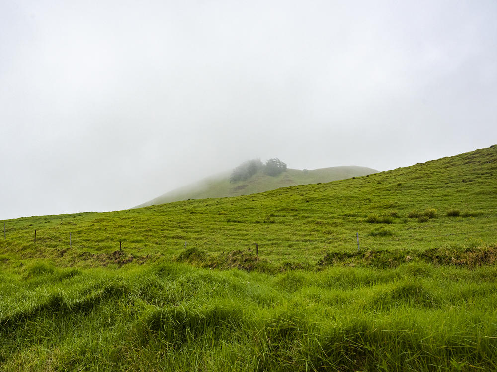 Mist lingers over the rolling hills of Waimea.
