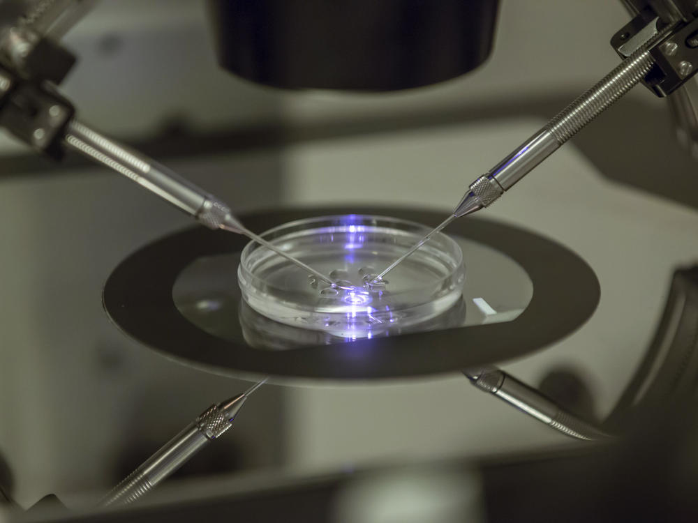 The decision stems from a case brought by three couples that had pursued in vitro fertilization treatment.