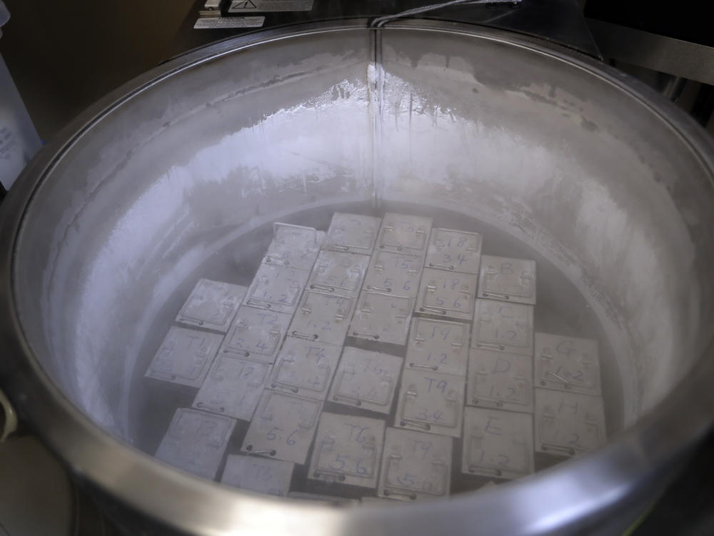 Frozen embryos and sperm are stored in liquid nitrogen at a fertility clinic in Florida. The Alabama Supreme Court ruling stems from wrongful death cases brought by three couples who had frozen embryos destroyed in an accident at a fertility clinic in the state.