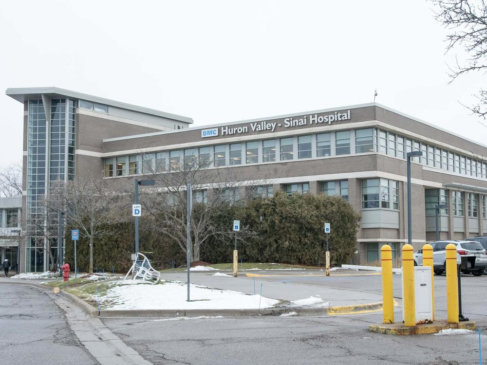Ann Picha-Lillard died at DMC Huron Valley-Sinai Hospital in Commerce Township, Michigan on Nov. 19, 2022 at age 65. Months earlier, staff had reportedly filed a complaint with the Michigan Attorney General about staffing shortages impacting patient care.