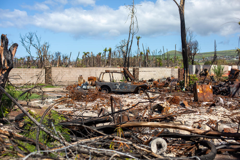 Hundreds of students were affected by a devastating wildfire in Lahaina, Hawaii, in August 2023. The University of Hawai'i Maui College gave affected students emergency funds immediately.
