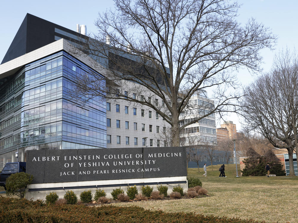 The $1 billion donation from Ruth Gottesman to the Albert Einstein College of Medicine is one of the largest-ever charitable gifts to an educational institution in the United States.