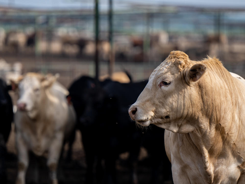 A new report from the Environmental Working Group finds some of the USDA's 