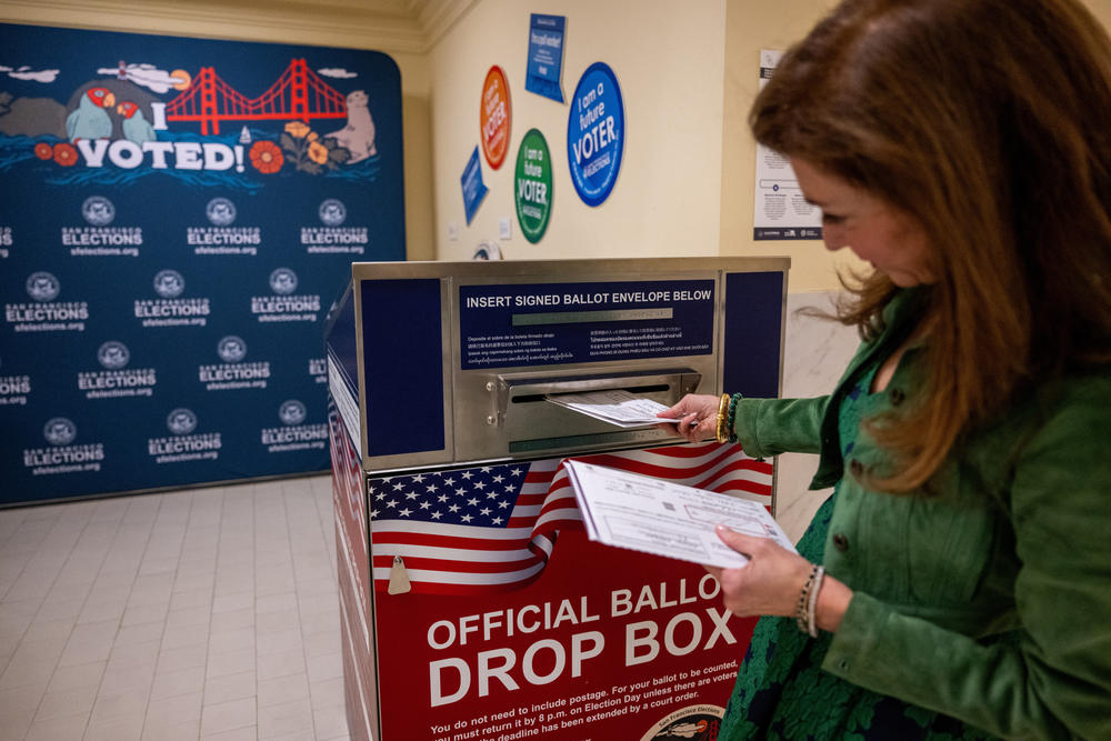 Maryam Muduroglu, chief of Protocol for San Francisco, drops off her ballot on Super Tuesday at City Hall in San Francisco.