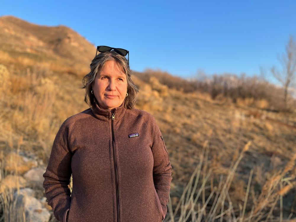 Deeda Seed with the Center for Biological Diversity says Utah leaders are shying away from making the tough political choices needed to save the lake.