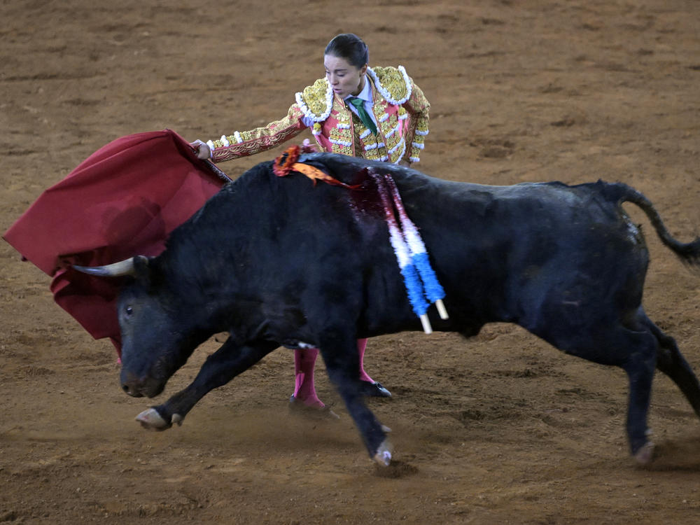 Colombian bullfighter Rocío Morelli participates in a bullfight at the Monumental Plaza de Toros México in Mexico City in February.