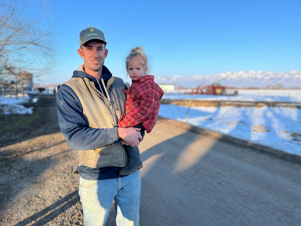 Todd Pearce's family grows alfalfa to feed their dairy cows that produce cheese for the company, Organic Valley.