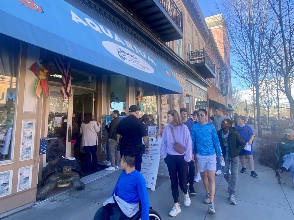 The small aquarium in Hendersonville, N.C., is seeing a lot of visitors curious about Charlotte the pregnant stingray.