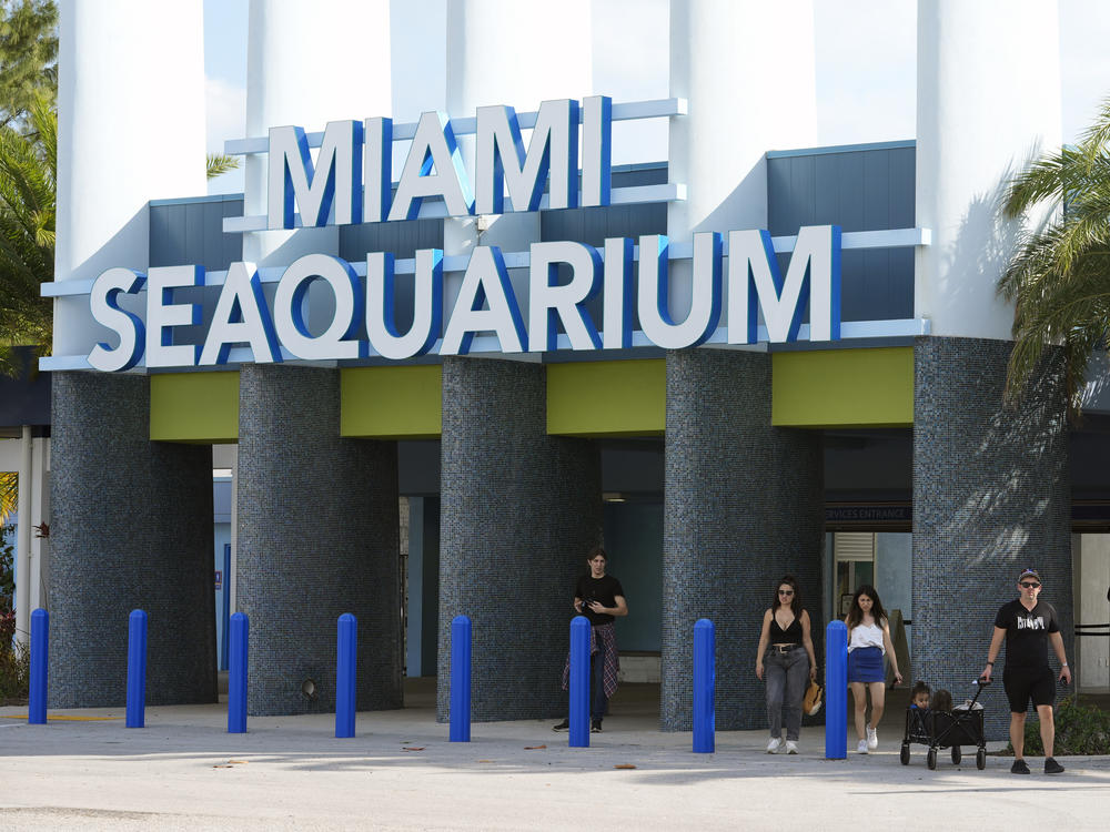 Visitors exit the Miami Seaquarium, Thursday, March 7, 2024, in Key Biscayne, Fla.